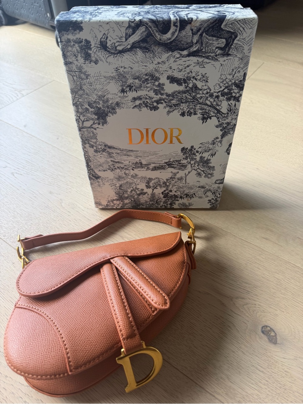 Dior Mini Saddle Bag in Salmon Pink with Gold Hardware